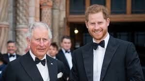 King Charles Upholds Firm Stance on Prince Harry’s Royal Role Post-Meeting