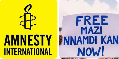 Amnesty International Condemns Nigeria’s Use of Force on Peaceful Protesters
