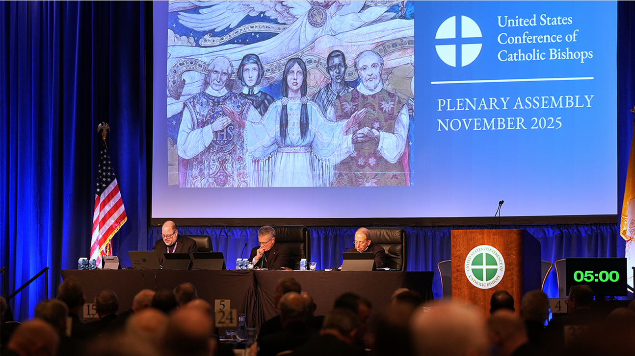 U.S. Catholic Bishops Vote to Prohibit Gender-Transition Treatments in Catholic Hospitals